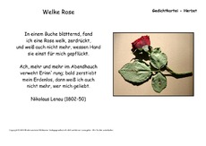 Welke-Rose-Lenau.pdf